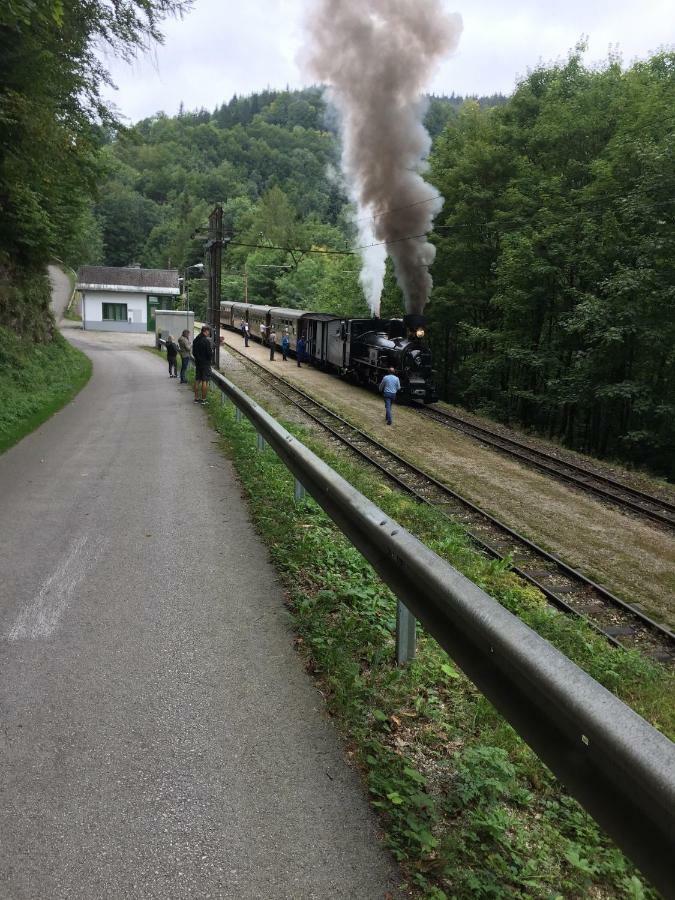 Das Landhaus Puchenstuben エクステリア 写真